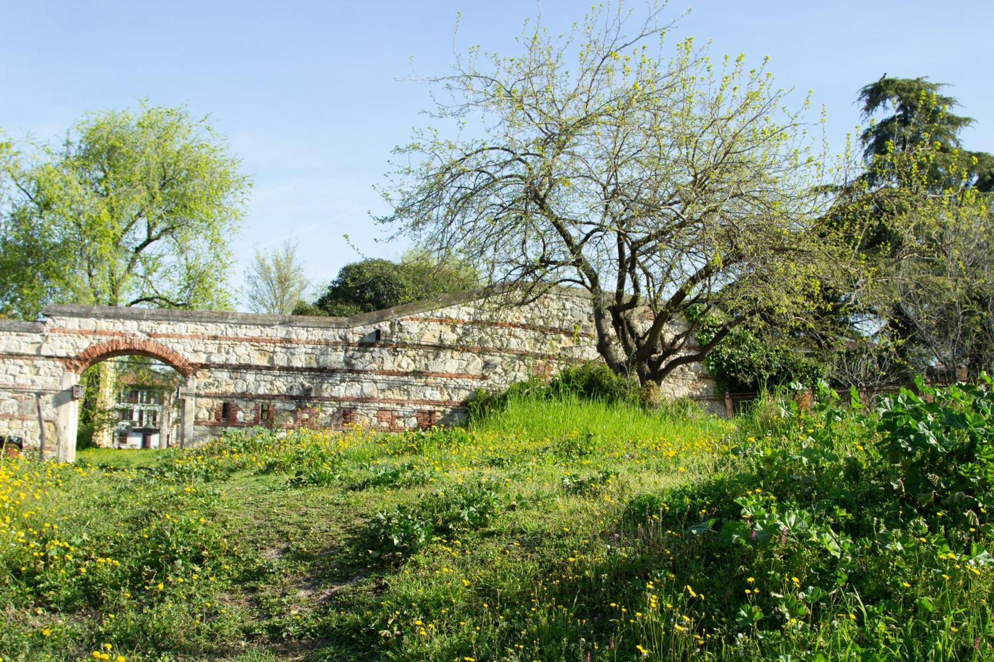 Verona Nest Kültér fotó